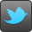 Twitter: @pottgiesser logo twitter